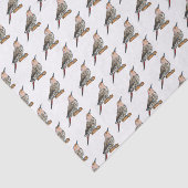 北フリッカ鳥の漫画イラストレーション 薄葉紙 (詳細)