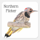 北フリッカ スクエアシール (正面)