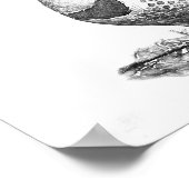 北フリッカ（メス） ポスター (角)