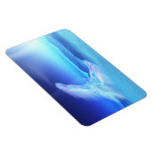 北フレキシブル磁石のフェニックス マグネット (右側)