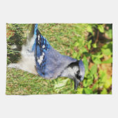 北ブルージェイ キッチンタオル (横)