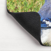 北ブルージェイ マウスパッド (コーナー)