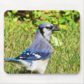 北ブルージェイ マウスパッド (正面)