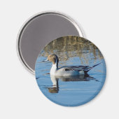 北マツ マグネット (正面/裏面)