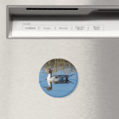 北マツ マグネット (インサイチュ (食洗機))