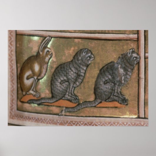 北ミッドランズの動物の名前を付けるアダム ポスター (正面)