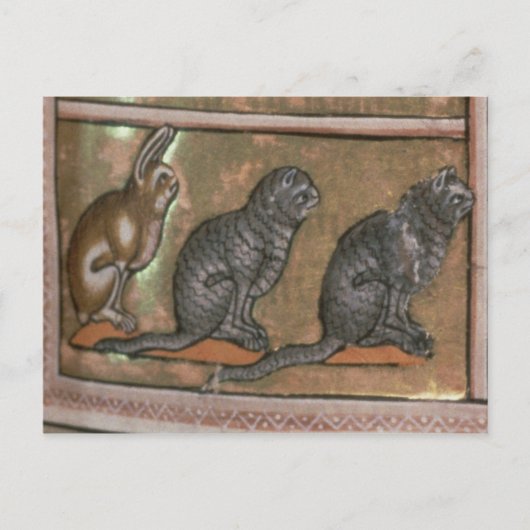 北ミッドランズの動物の名前を付けるアダム ポストカード (正面)