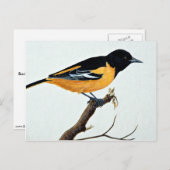 北ムクドリ ポストカード (正面/裏面)