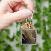 北メキシコ キーホルダー (手)