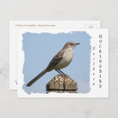 北モッキンバード ポストカード (正面/裏面)