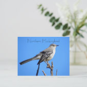 北モッキンバード ポストカード (スタンド正面)