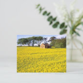 北ヨークシャーの黄色い菜種の黄色い野原 ポストカード (スタンド正面)