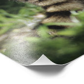 北ラクーン、プロキヨンローター、木で大人 フォトプリント            (角)