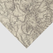 北中部のニューメキシコ 薄葉紙 (詳細)