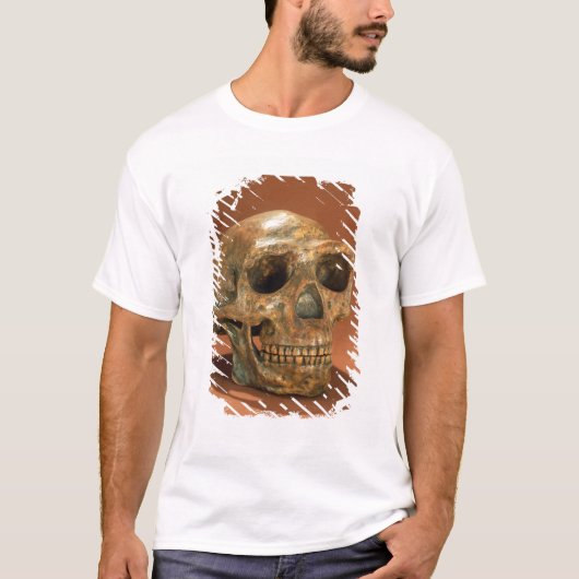北京原人の再建されたスカル Tシャツ (正面)