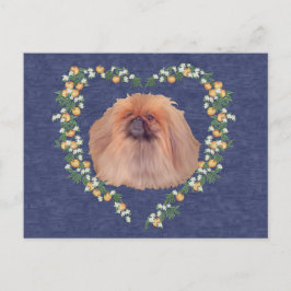 北京犬とオレンジの花 ポストカード