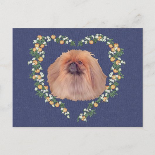 北京犬とオレンジの花 ポストカード (正面)