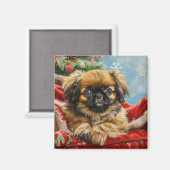 北京犬のクリスマス マグネット (正面/裏面)