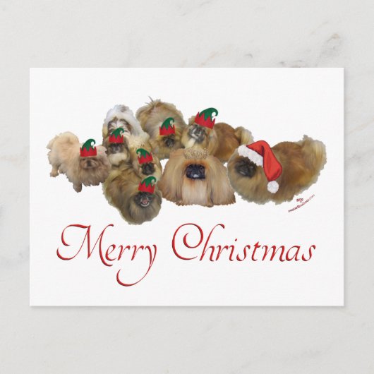 北京犬のグループ クリスマス (正面)