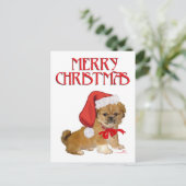 北京犬の子犬のクリスマス シーズンポストカード (スタンド正面)