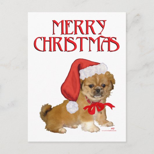 北京犬の子犬のクリスマス シーズンポストカード (正面)