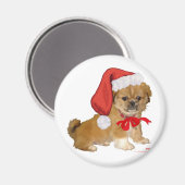 北京犬の子犬のクリスマス マグネット (正面/裏面)