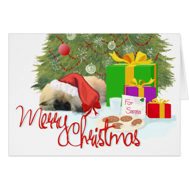 北京犬の子犬の初クリスマス (正面横)