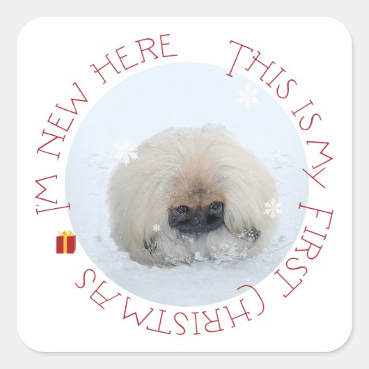 北京犬の子犬の最初のクリスマス スクエアシール (正面)
