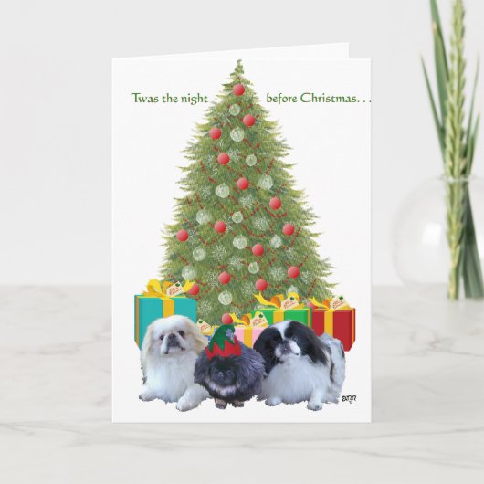 北京犬の家族のクリスマス シーズンカード (正面)
