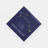 北半球うさ座(小) スタンダードランチョンナプキン (角)