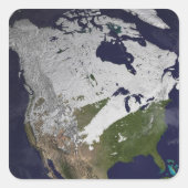 北半球の冬の雪の覆い スクエアシール (正面)