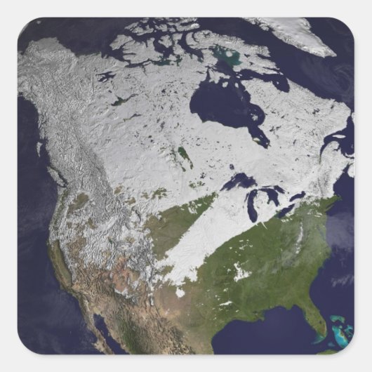 北半球の冬の雪の覆い スクエアシール (正面)