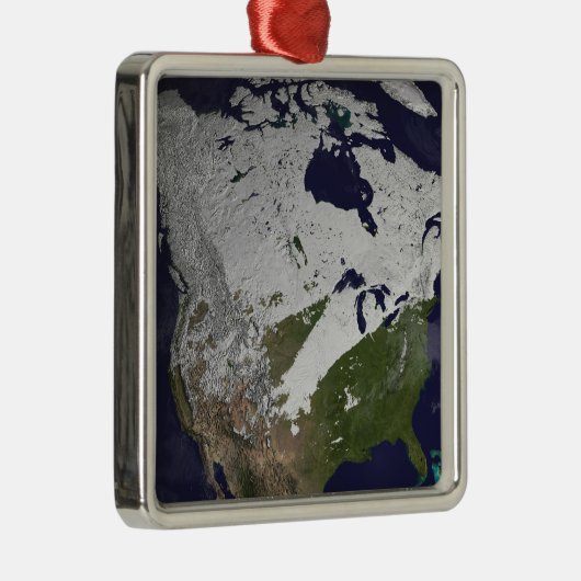 北半球の冬の雪の覆い メタルオーナメント (右)