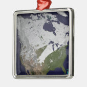 北半球の冬の雪の覆い メタルオーナメント (左)