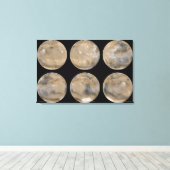 北半球の夏/南冬の火星 キャンバスプリント (インサイチュ (ウッドフロア))