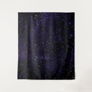 北半球の星座タペストリー タペストリー