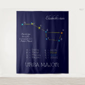 北半球の星座 ursa major タペストリー (正面)