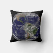 北半球の春の初日。 クッション (裏面)