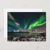 北半球の緑 ポストカード (正面/裏面)