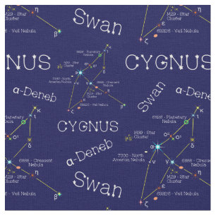 北半球シグナス星座 ファブリック