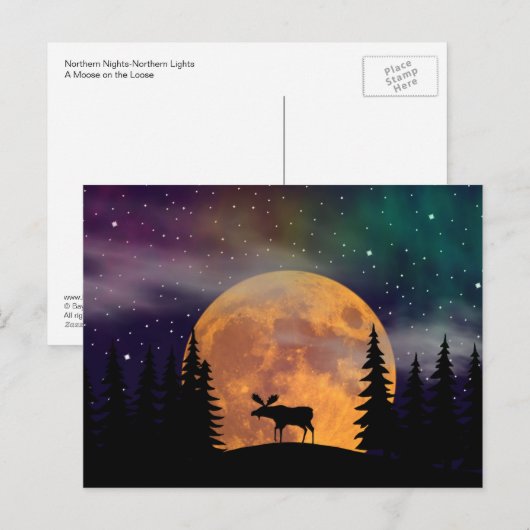 北夜Northern Lights ポストカード (正面/裏面)