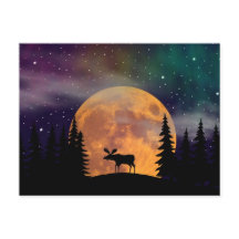 北夜Northern Lights