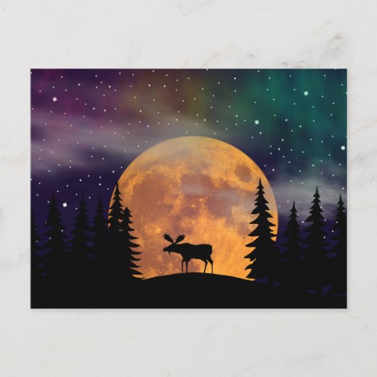 北夜Northern Lights ポストカード (正面)