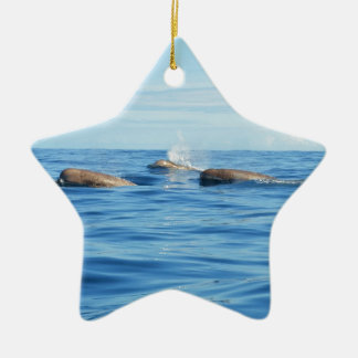 北大西洋のトックリクジラ属 セラミックオーナメント