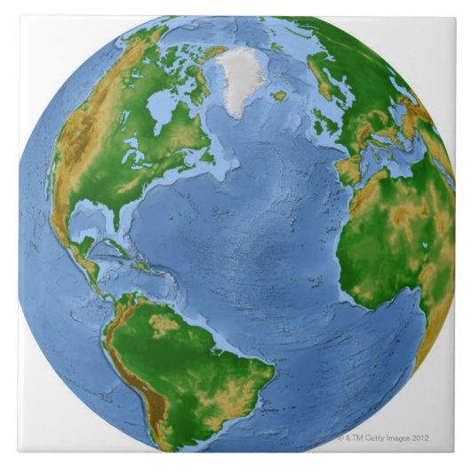 北大西洋の植物の地図 タイル (正面)