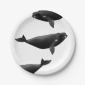 北大西洋右鯨エウバラエナ氷河アート ペーパープレート (正面)