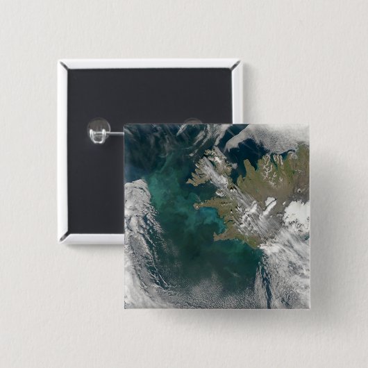 北大西洋開花の植物プランクトン海 缶バッジ (正面&裏面)