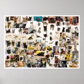 北天学院1年ポスター ポスター (正面)