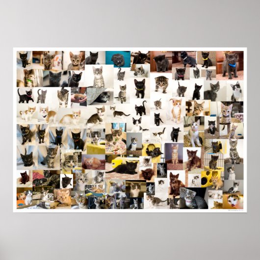 北天学院1年ポスター ポスター (正面)