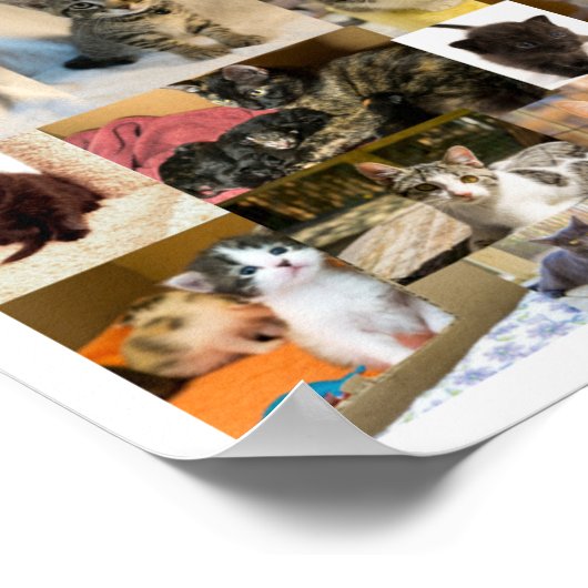 北天学院1年ポスター ポスター (角)